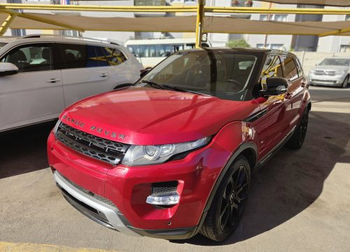 20250610_135108(1)_resized